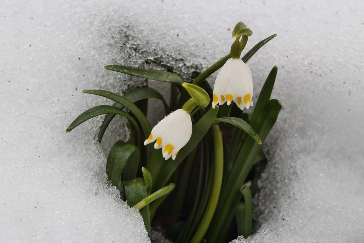 IMG_2013_04_09_00007095_phm2_Bildgr��e �ndern