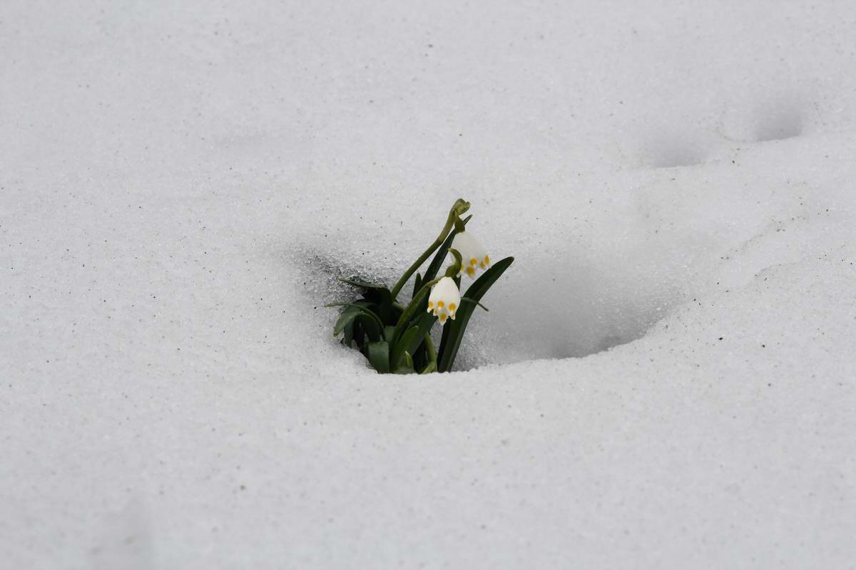 IMG_2013_04_09_00007097_phm2_Bildgr��e �ndern