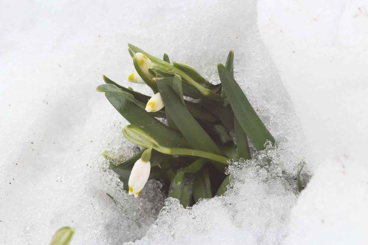 IMG_2013_04_09_00007101_Bildgr��e �ndern