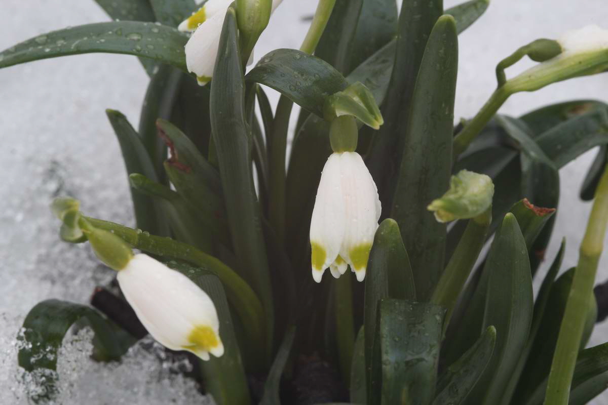 IMG_2013_04_09_00007104_Bildgr��e �ndern