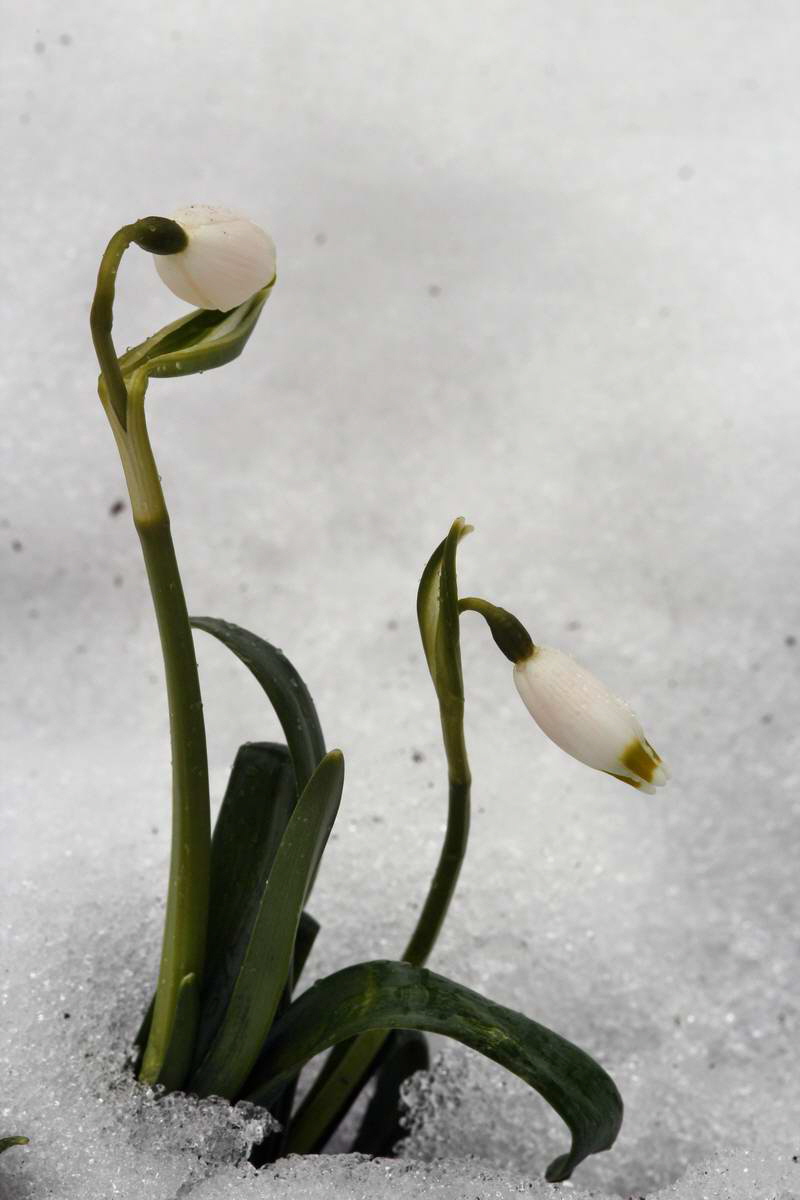 IMG_2013_04_09_00007107_phm2_Bildgr��e �ndern