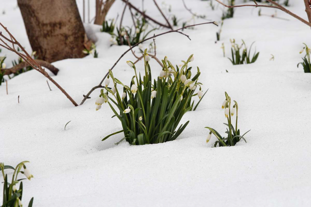 IMG_2013_04_09_00007114_phm2_Bildgr��e �ndern