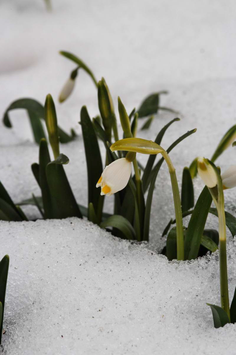 IMG_2013_04_09_00007125_phm2_Bildgr��e �ndern