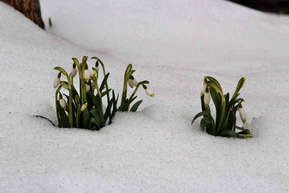 IMG_2013_04_09_00007130_phm2_Bildgr��e �ndern