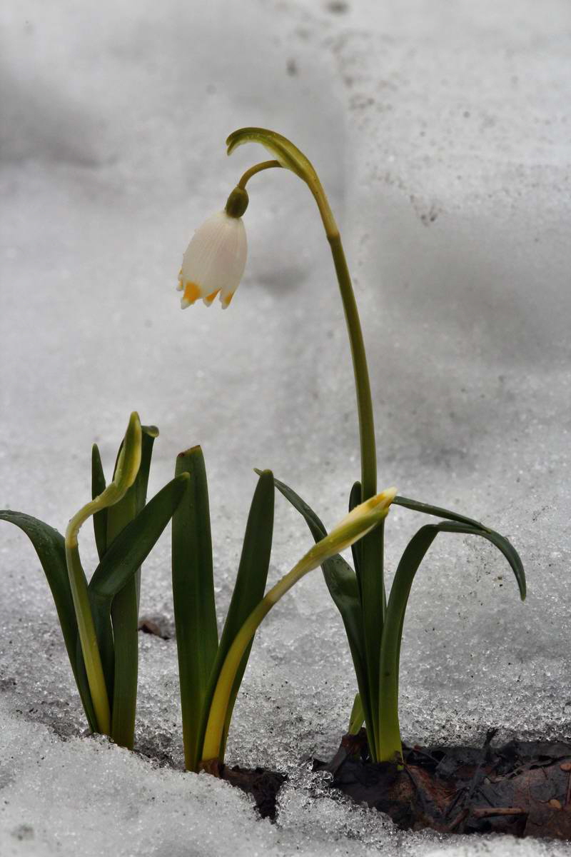 IMG_2013_04_09_00007136_phm2_Bildgr��e �ndern