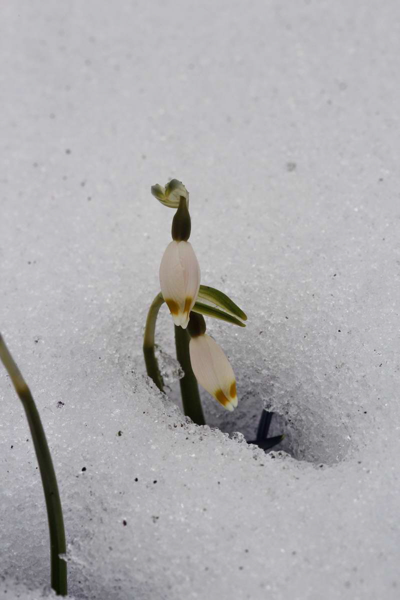 IMG_2013_04_09_00007141_phm2_Bildgr��e �ndern