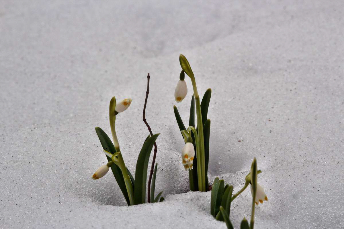 IMG_2013_04_09_00007145_phm2_Bildgr��e �ndern