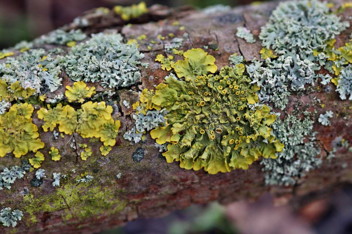 IMG_2013_04_09_00007153_phm2_Bildgr��e �ndern