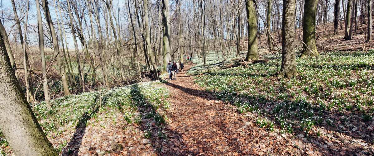 [pano1]-IMG_2013_04_14_00007384_IMG_2013_04_14_00007385-2 images_phm2_Bildgr��e �ndern