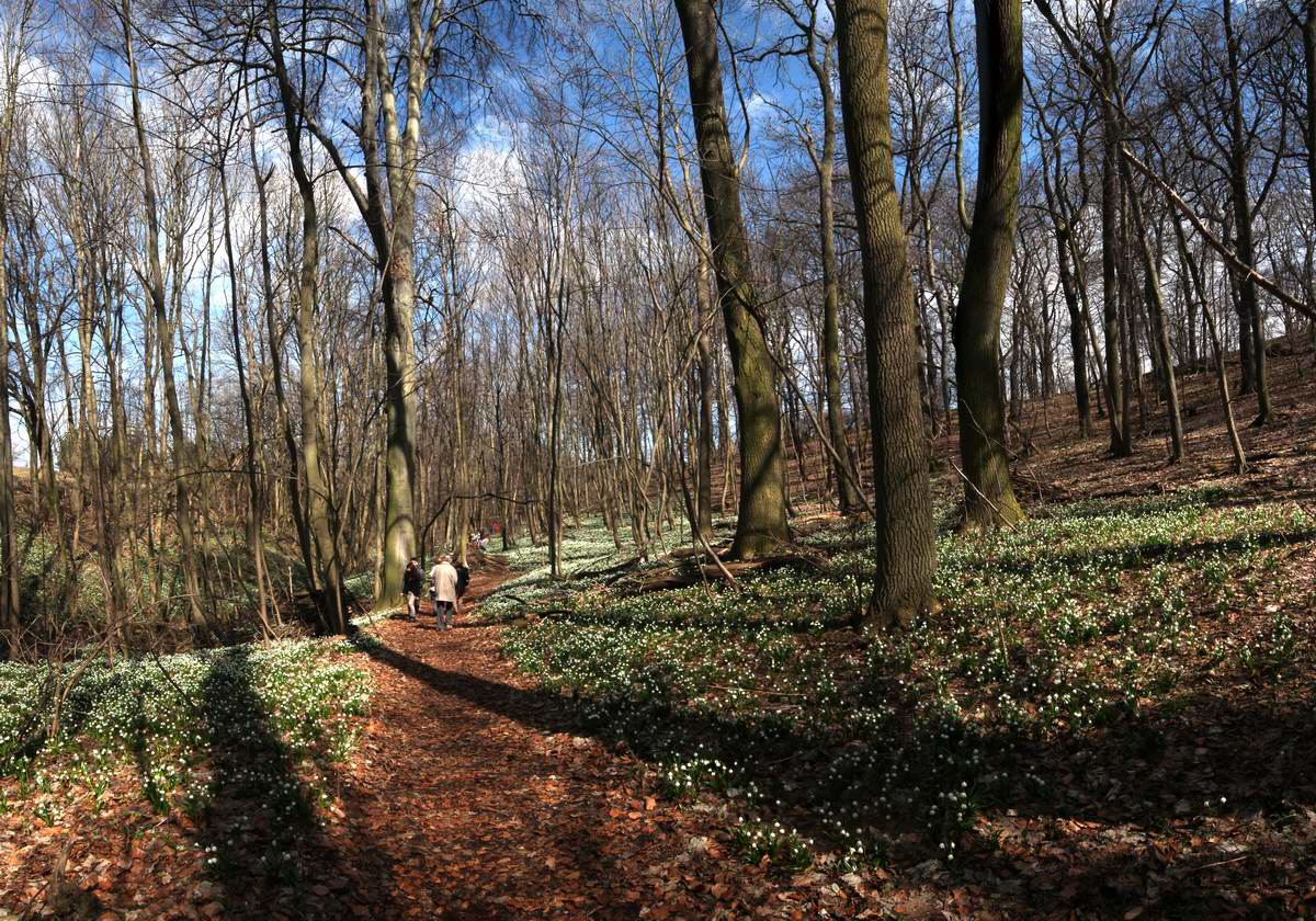 [pano4]-IMG_2013_04_14_00007373_IMG_2013_04_14_00007383-4 images_Bildgr��e �ndern