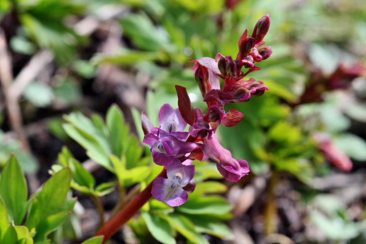 IMG_2013_04_14_00007160_phm2_Bildgr��e �ndern