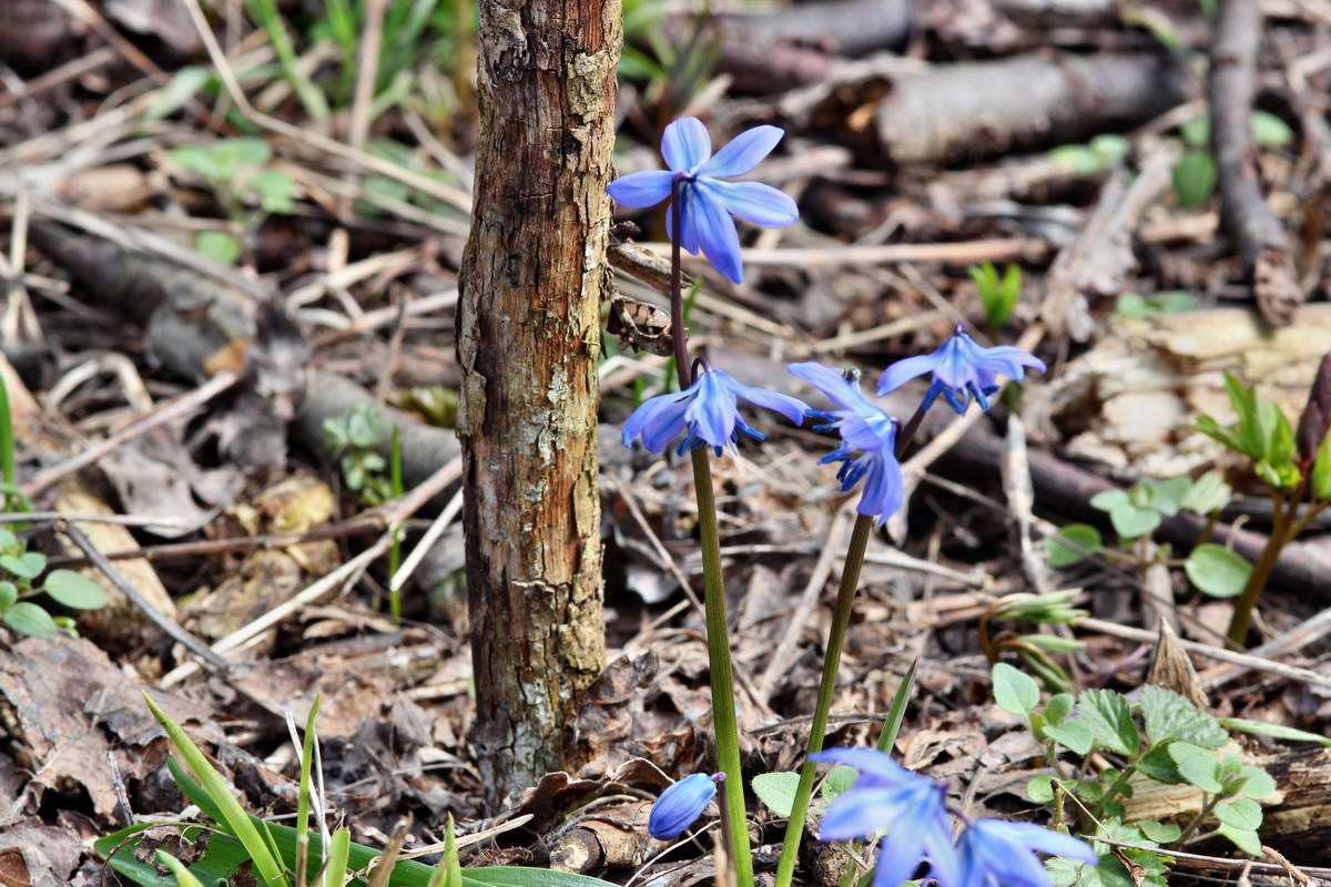 IMG_2013_04_14_00007162_phm2_Bildgr��e �ndern