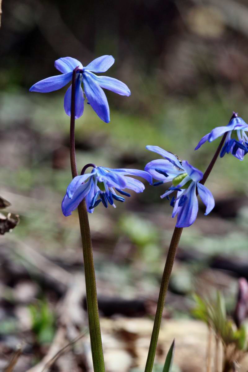 IMG_2013_04_14_00007177_phm2_Bildgr��e �ndern