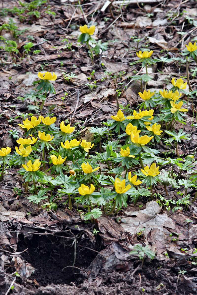 IMG_2013_04_14_00007187_phm2_Bildgr��e �ndern