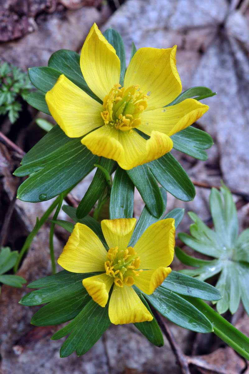 IMG_2013_04_14_00007193_phm2_Bildgr��e �ndern