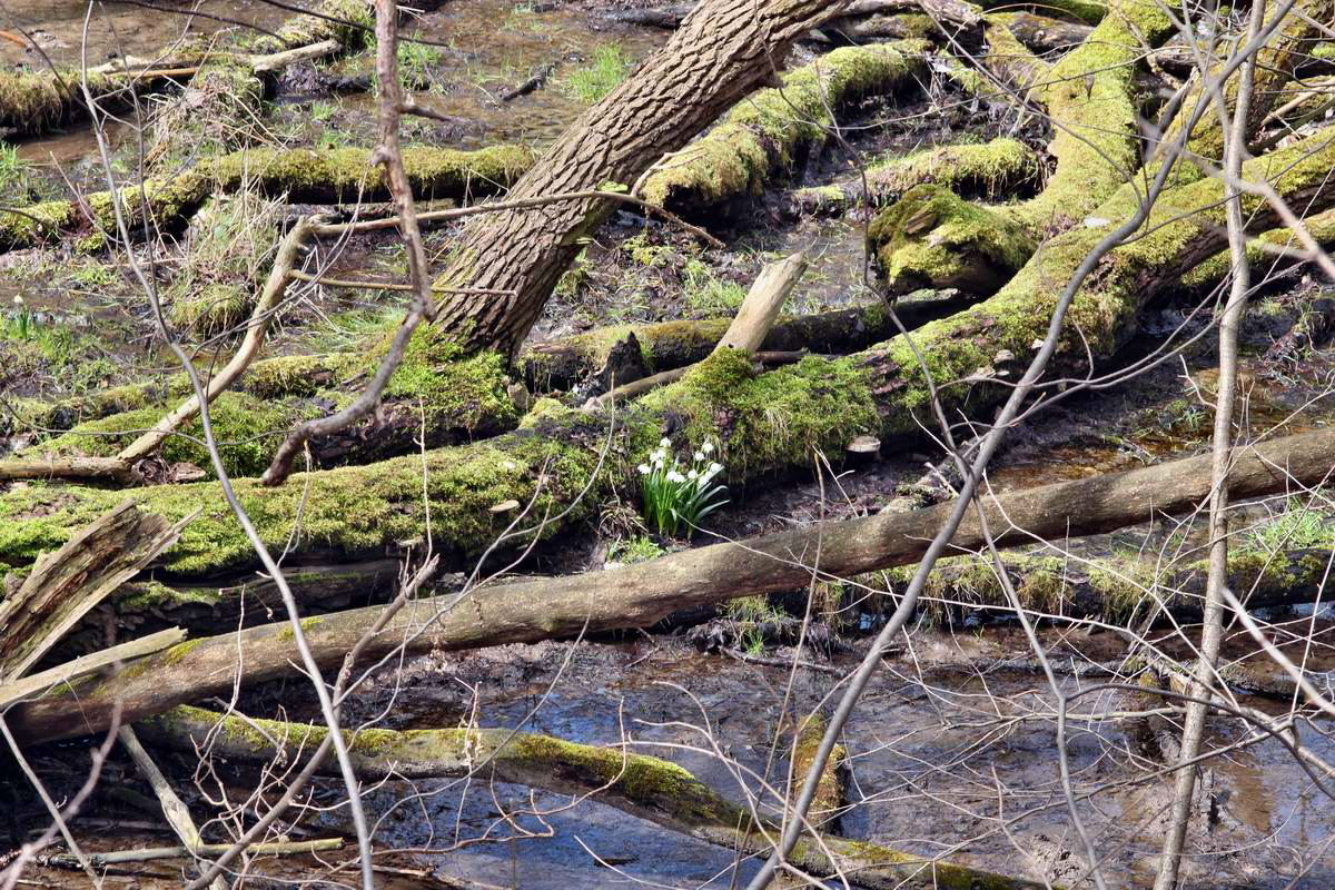 IMG_2013_04_14_00007195_phm2_Bildgr��e �ndern