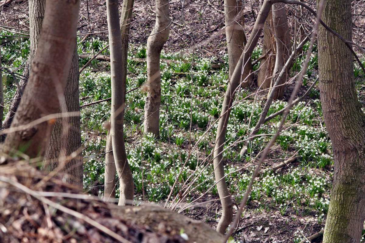 IMG_2013_04_14_00007197_phm2_Bildgr��e �ndern