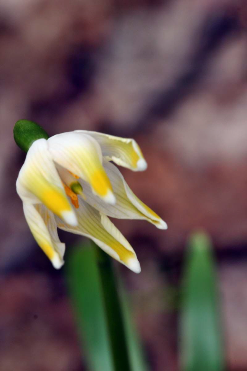 IMG_2013_04_14_00007201_phm2_Bildgr��e �ndern