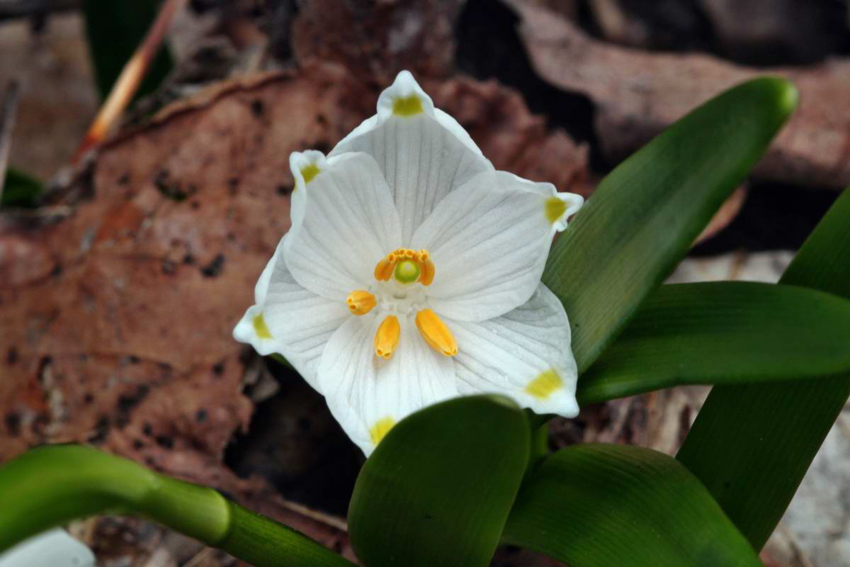 IMG_2013_04_14_00007205_phm2_Bildgr��e �ndern