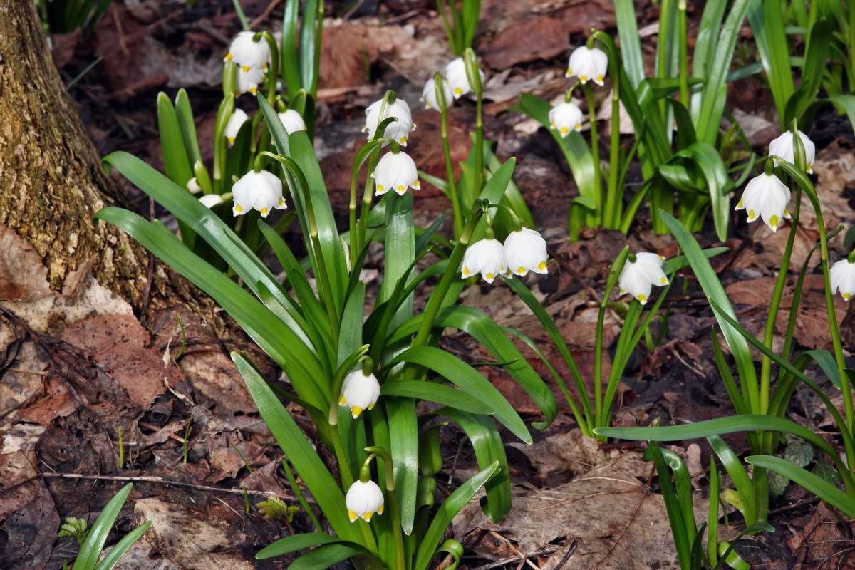 IMG_2013_04_14_00007214_phm2_Bildgr��e �ndern