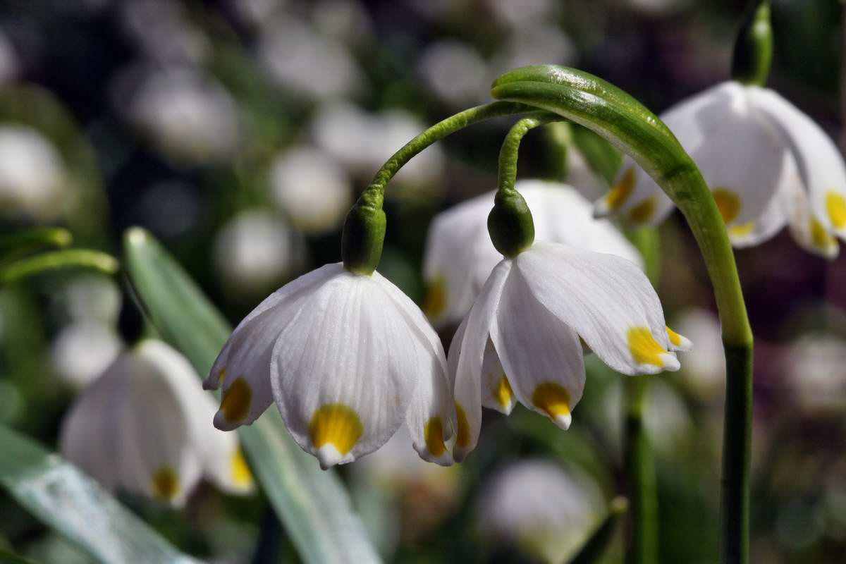 IMG_2013_04_14_00007217_phm2_Bildgr��e �ndern