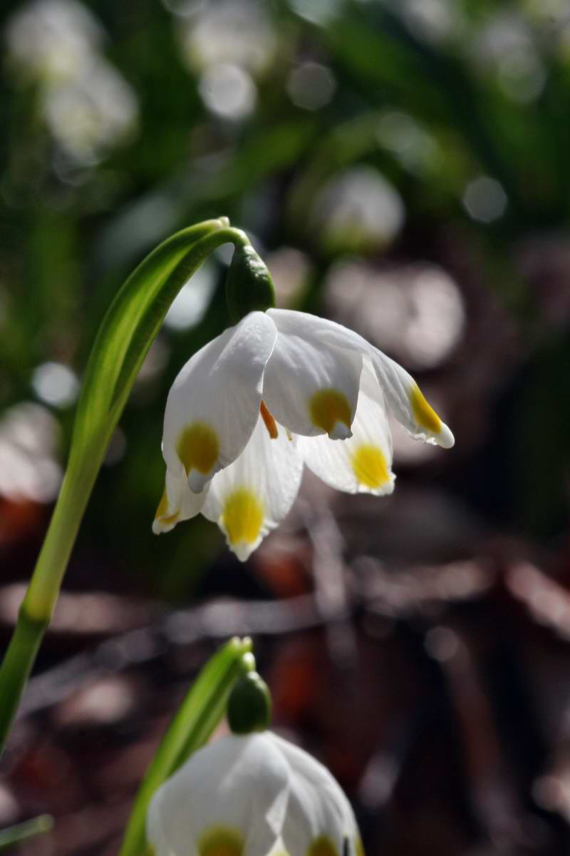 IMG_2013_04_14_00007223_phm2_Bildgr��e �ndern