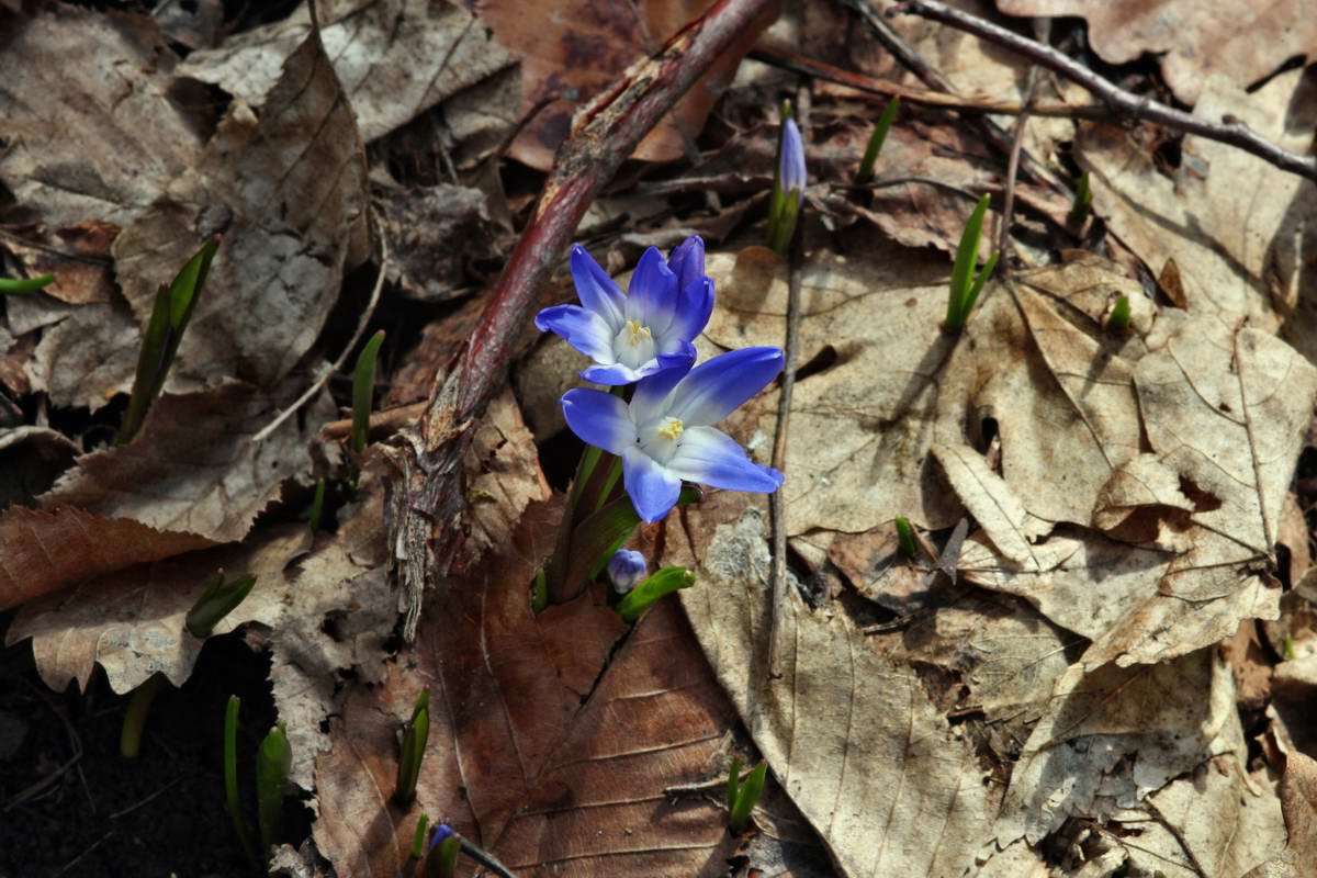 IMG_2013_04_14_00007246_phm2_Bildgr��e �ndern