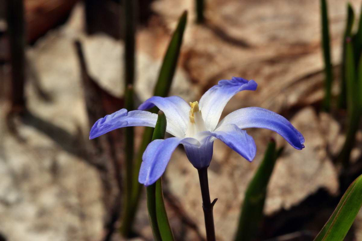 IMG_2013_04_14_00007257_phm2_Bildgr��e �ndern