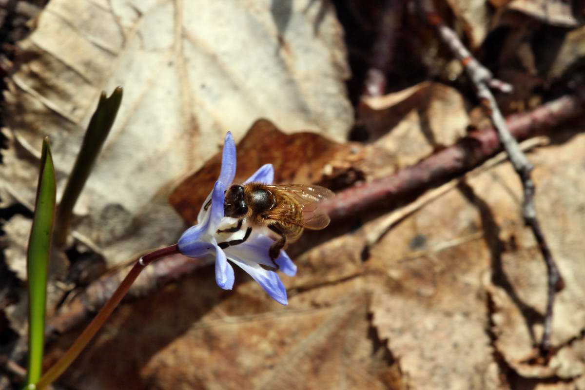 IMG_2013_04_14_00007260_phm2_Bildgr��e �ndern