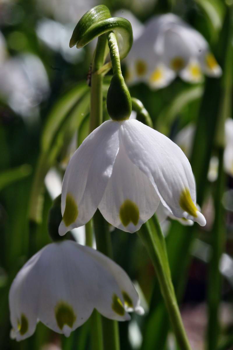 IMG_2013_04_14_00007390_phm2_Bildgr��e �ndern