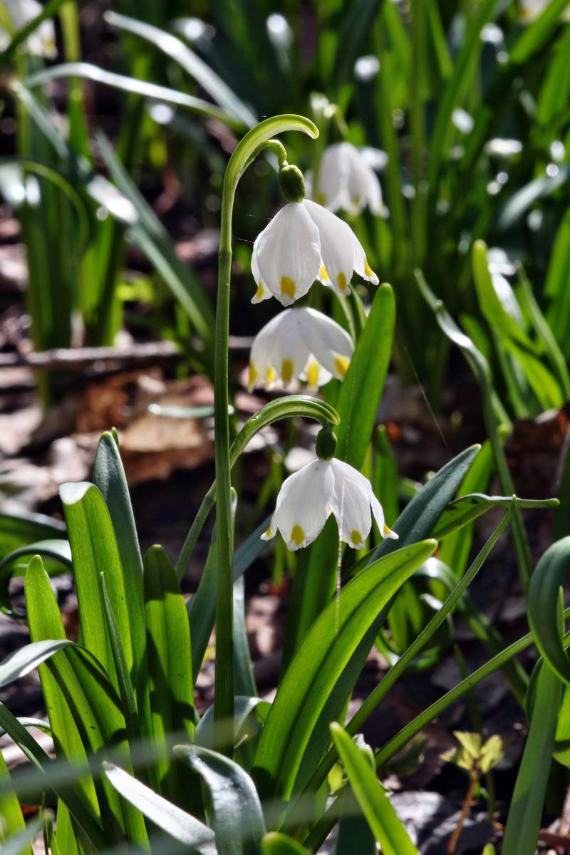 IMG_2013_04_14_00007394_phm2_Bildgr��e �ndern