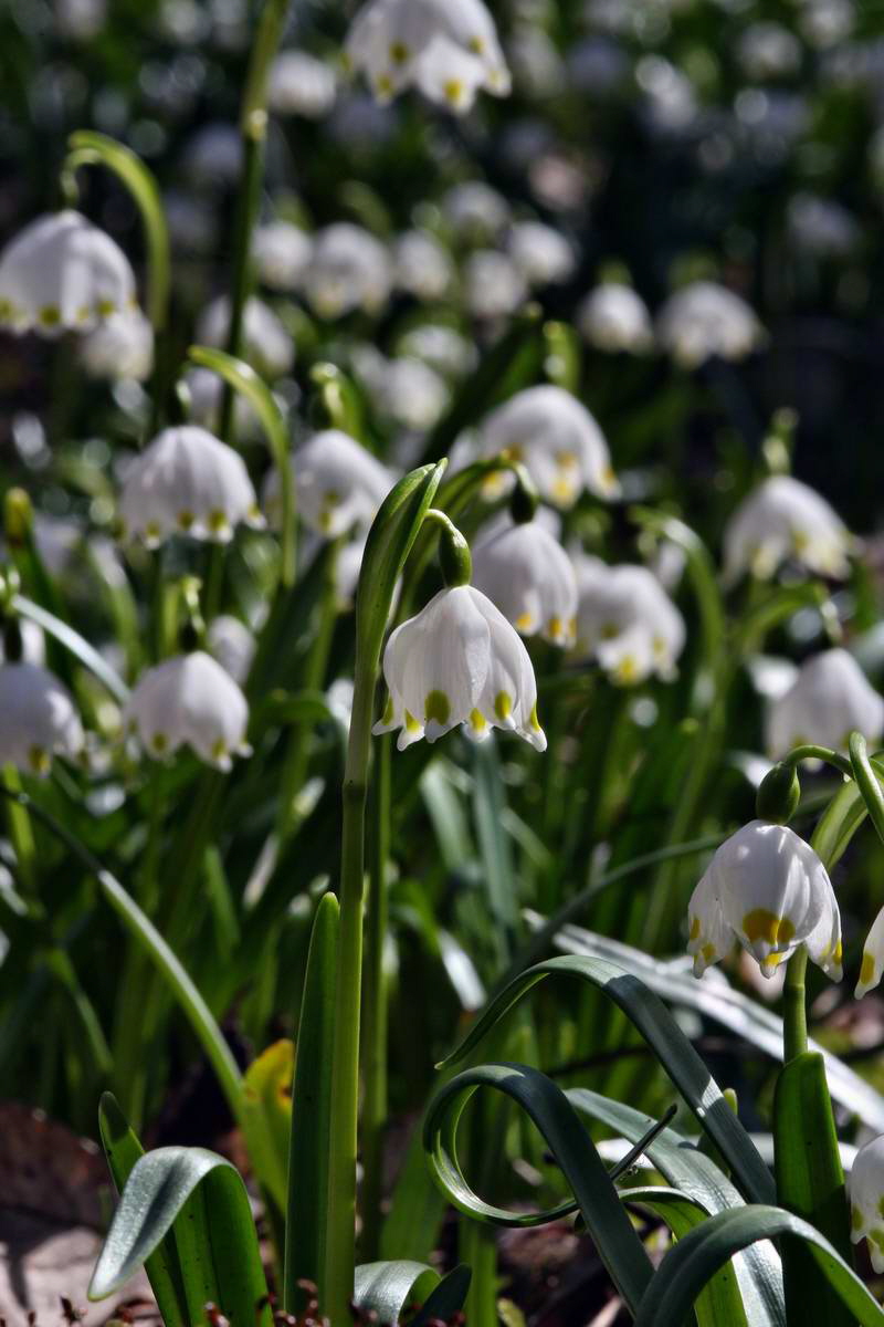 IMG_2013_04_14_00007397_phm2_Bildgr��e �ndern