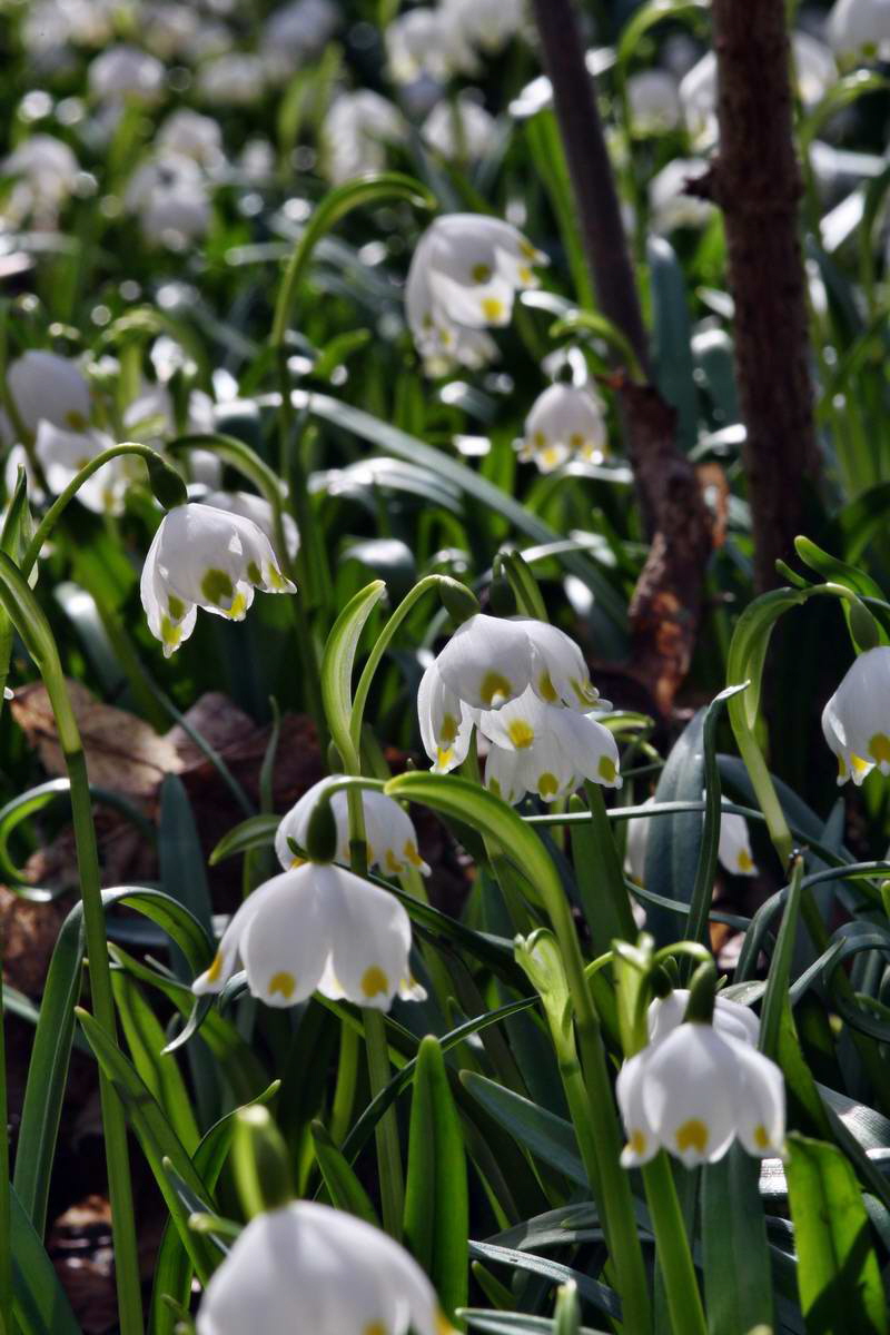 IMG_2013_04_14_00007399_phm2_Bildgr��e �ndern