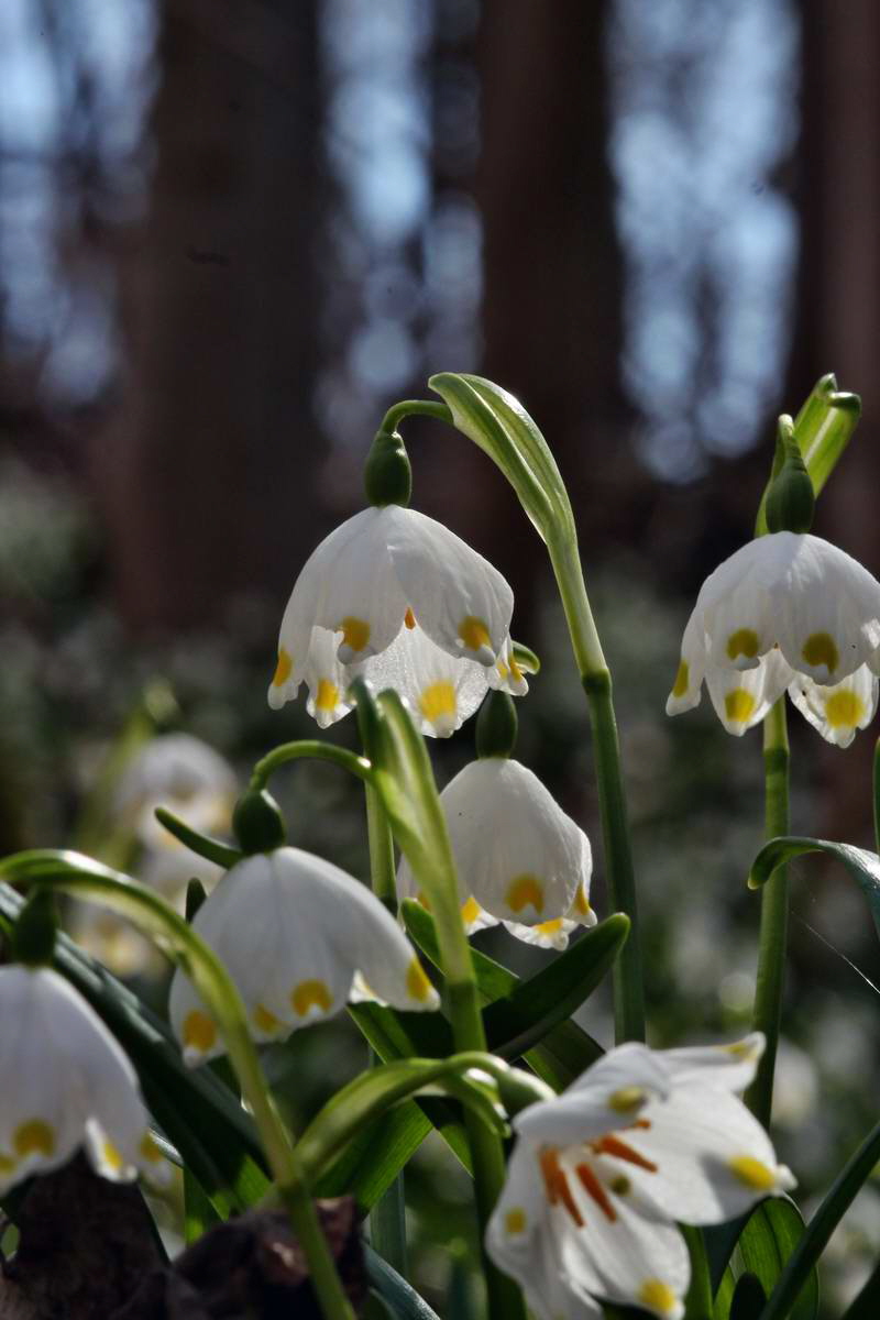 IMG_2013_04_14_00007405_phm2_Bildgr��e �ndern