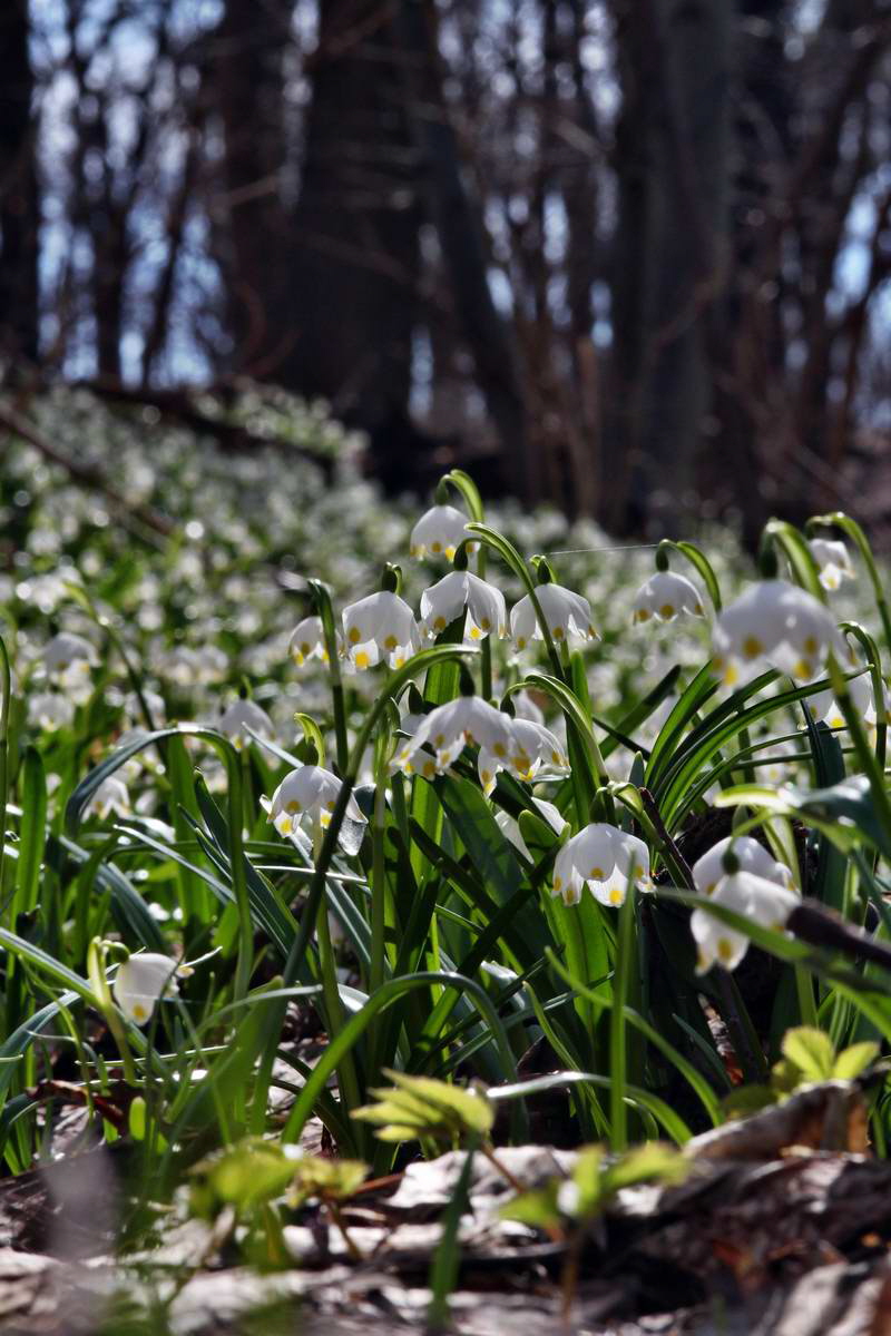 IMG_2013_04_14_00007411_phm2_Bildgr��e �ndern