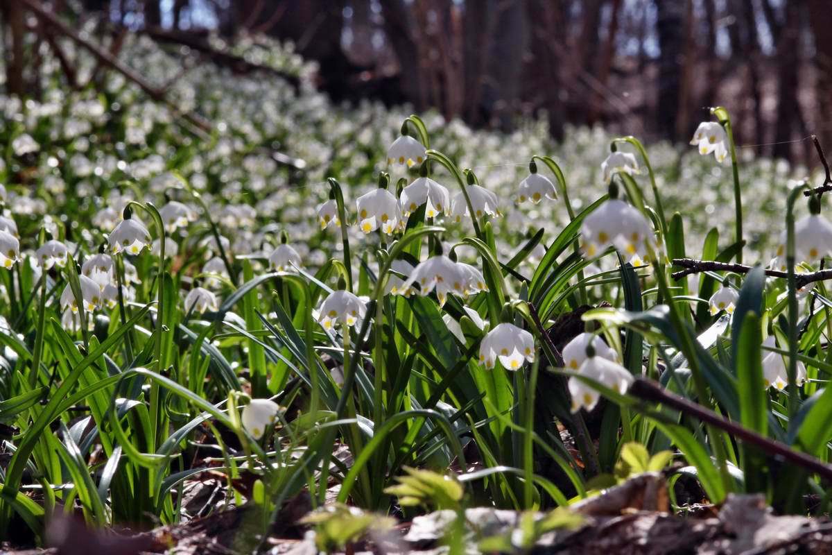 IMG_2013_04_14_00007422_phm2_Bildgr��e �ndern