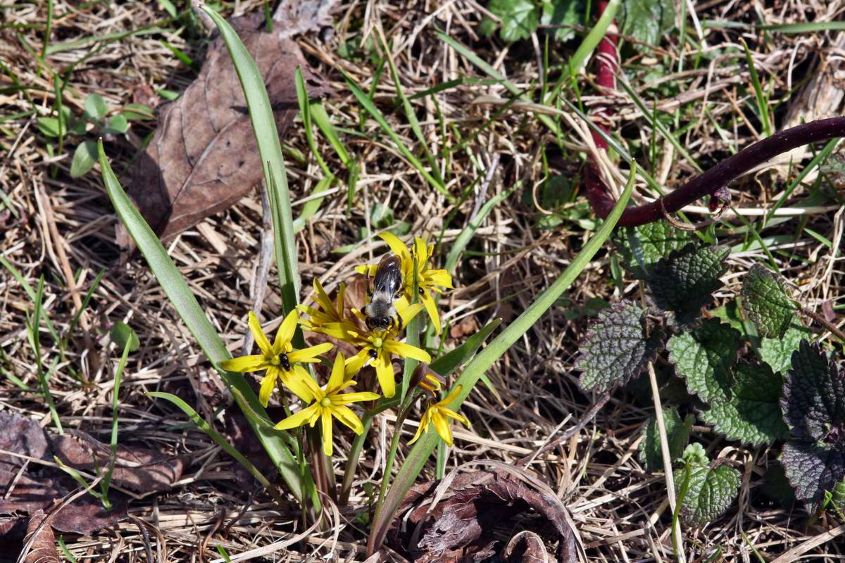 IMG_2013_04_14_00007470_phm2_Bildgr��e �ndern