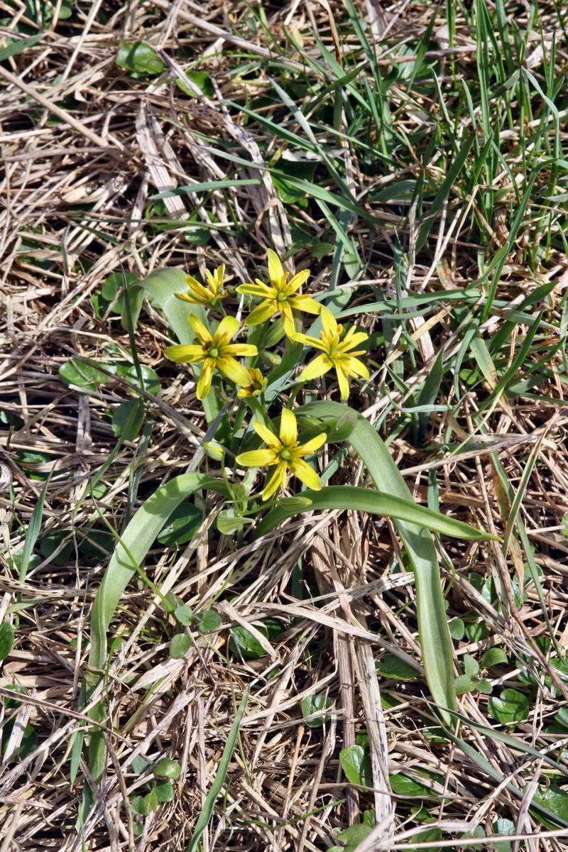 IMG_2013_04_14_00007489_phm2_Bildgr��e �ndern