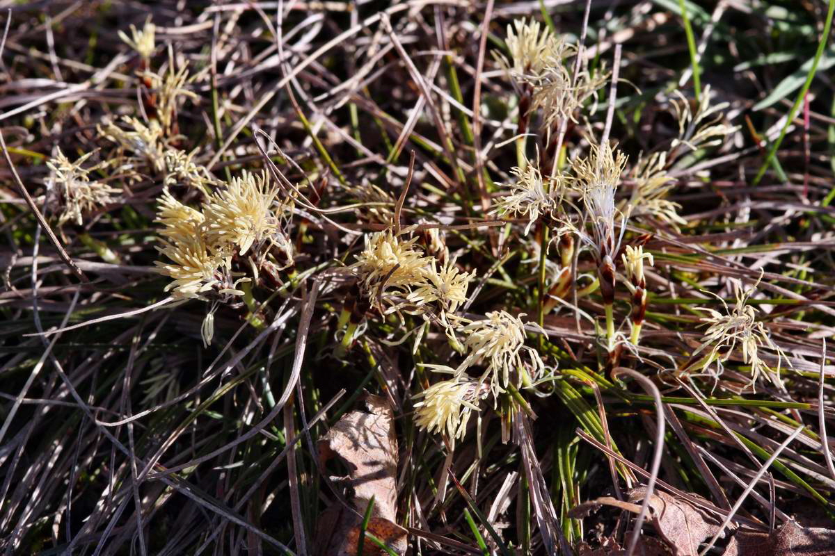 IMG_2013_04_15_00007524_phm2_Bildgr��e �ndern