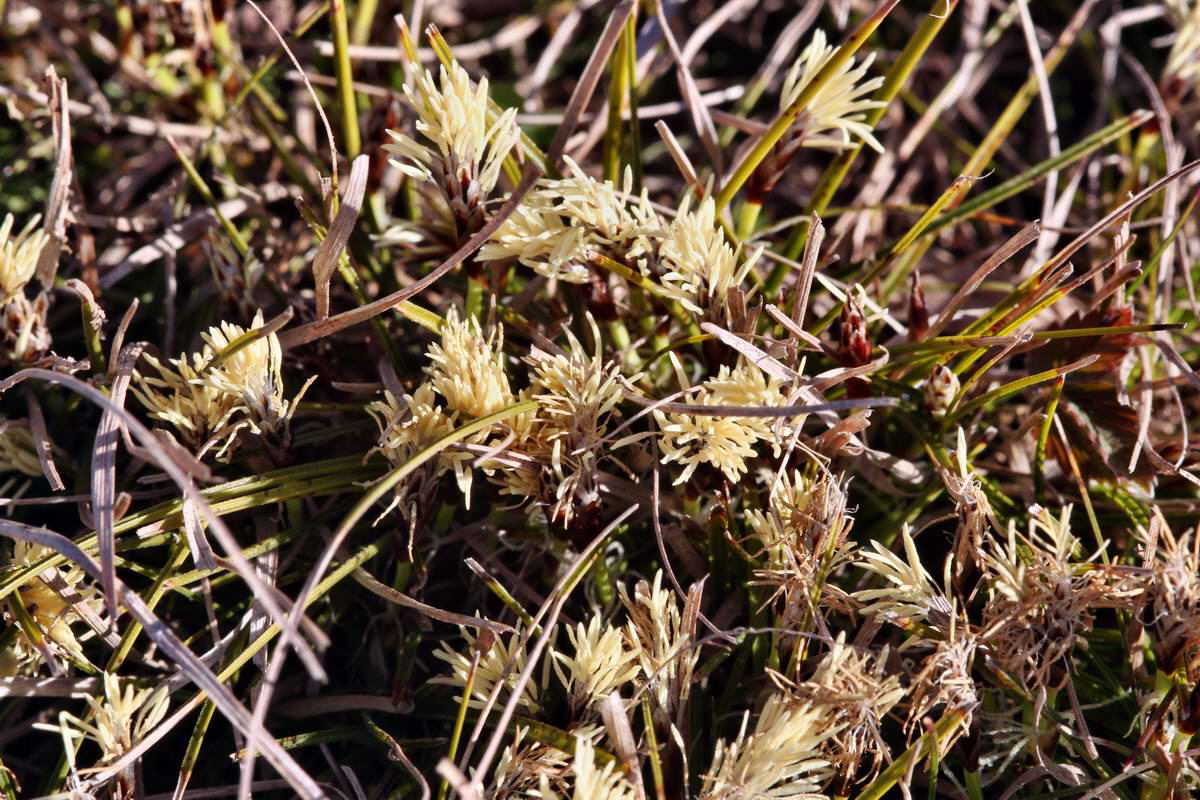 IMG_2013_04_15_00007531_phm2_Bildgr��e �ndern