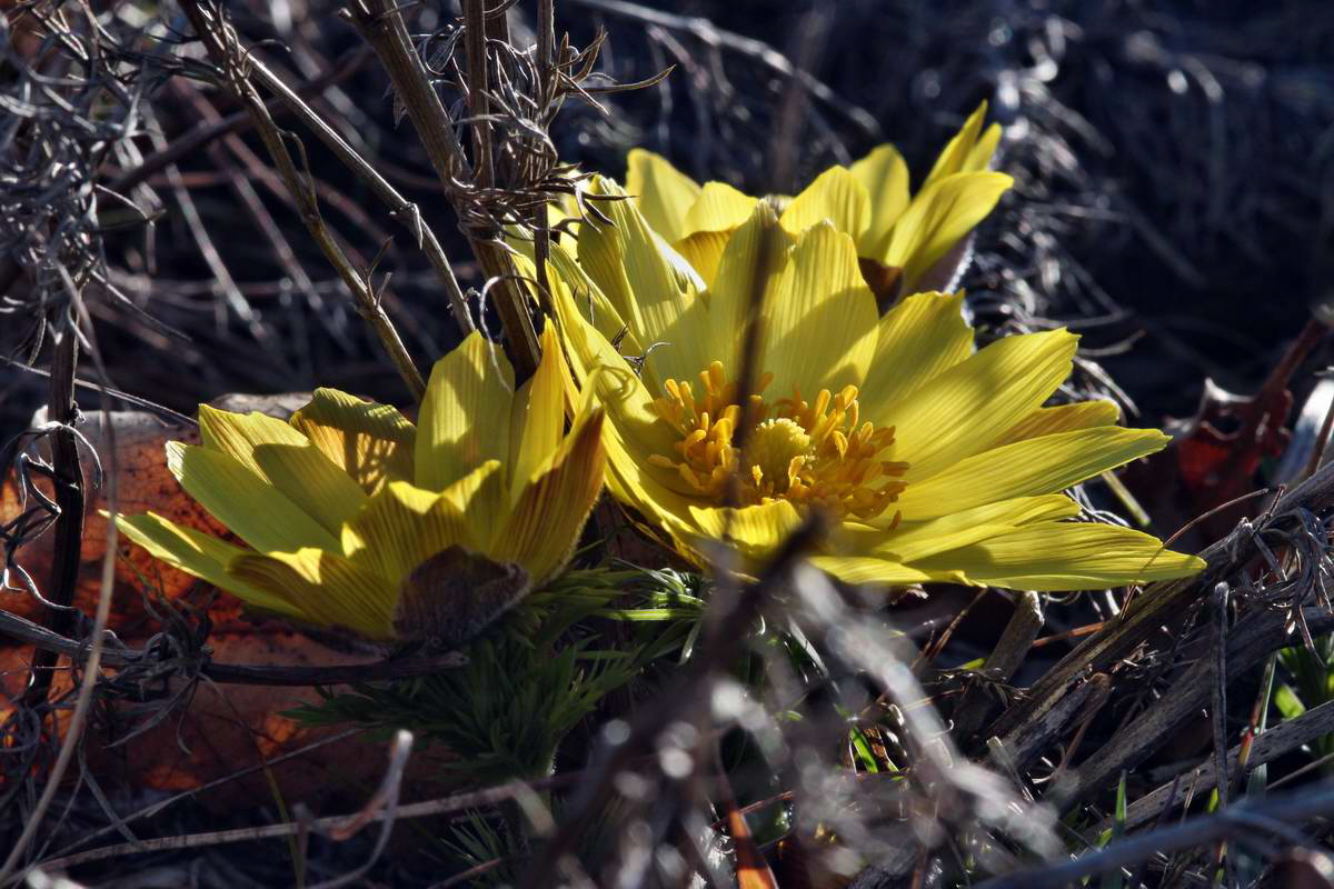 IMG_2013_04_15_00007538_phm2_Bildgr��e �ndern