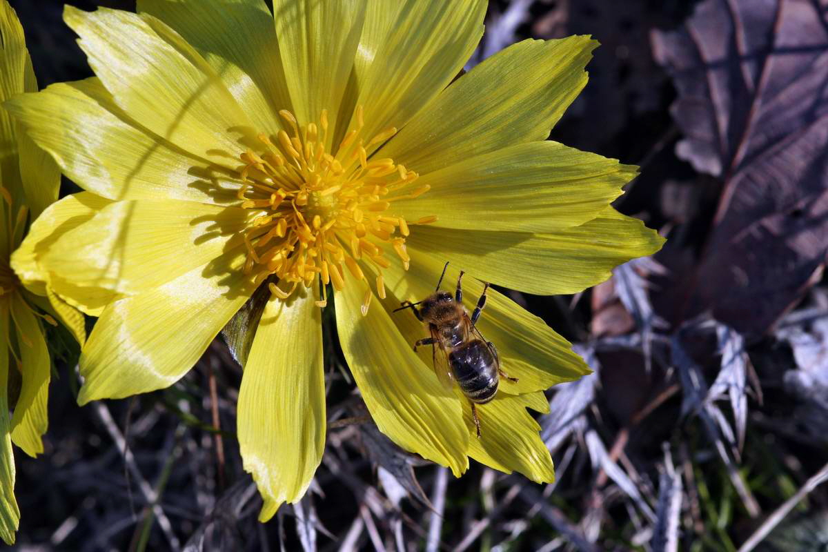 IMG_2013_04_15_00007545_phm2_Bildgr��e �ndern