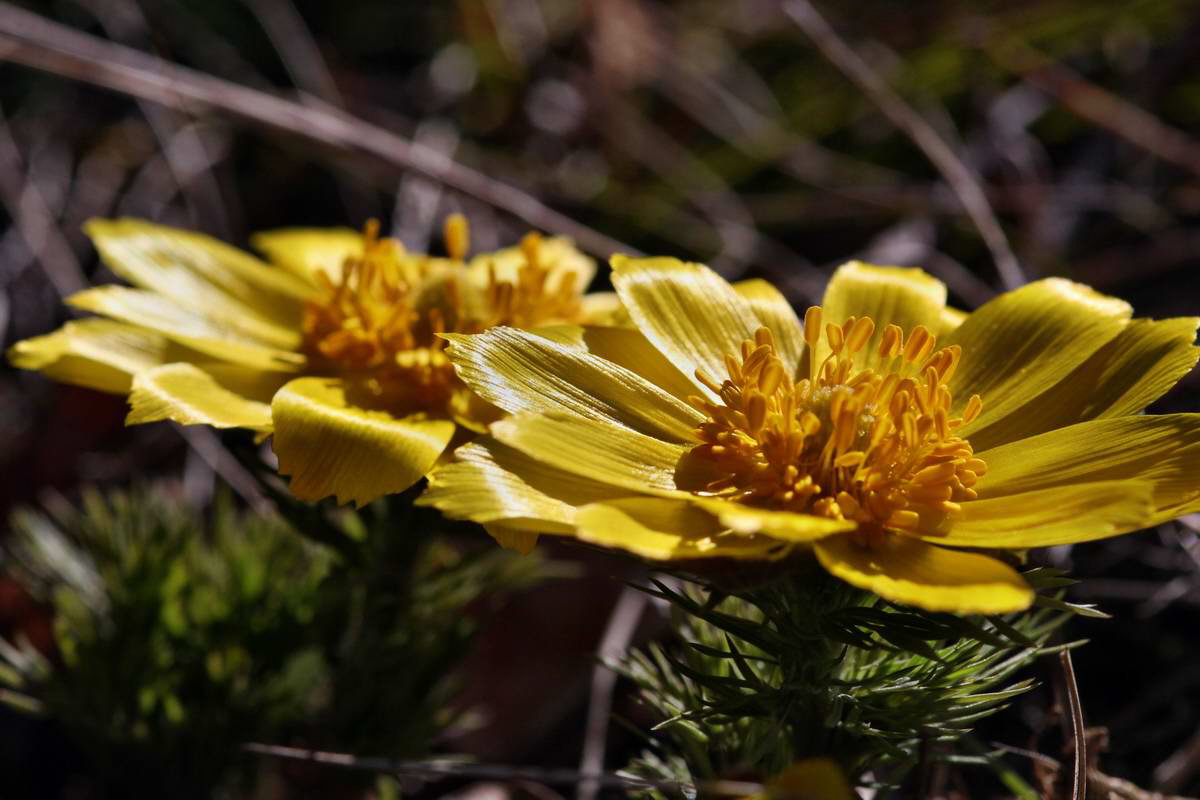 IMG_2013_04_15_00007554_phm2_Bildgr��e �ndern