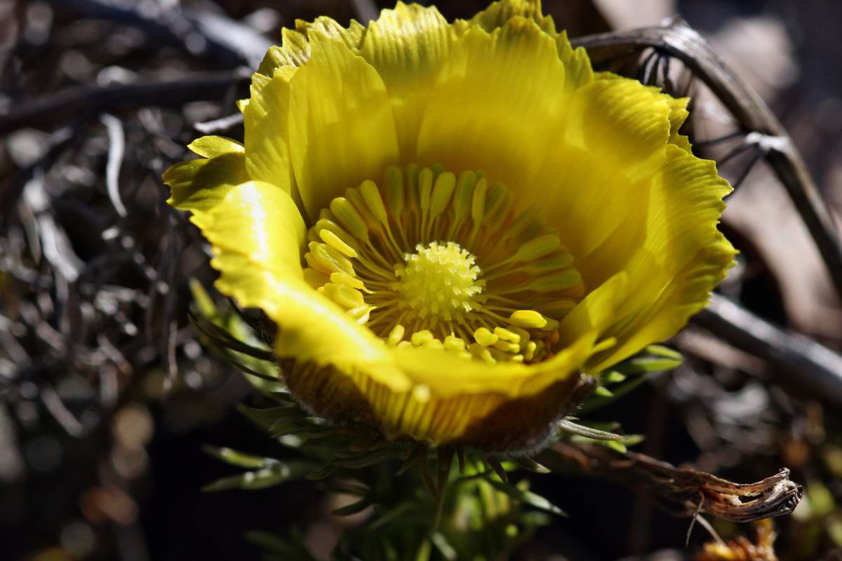 IMG_2013_04_15_00007557_phm2_Bildgr��e �ndern