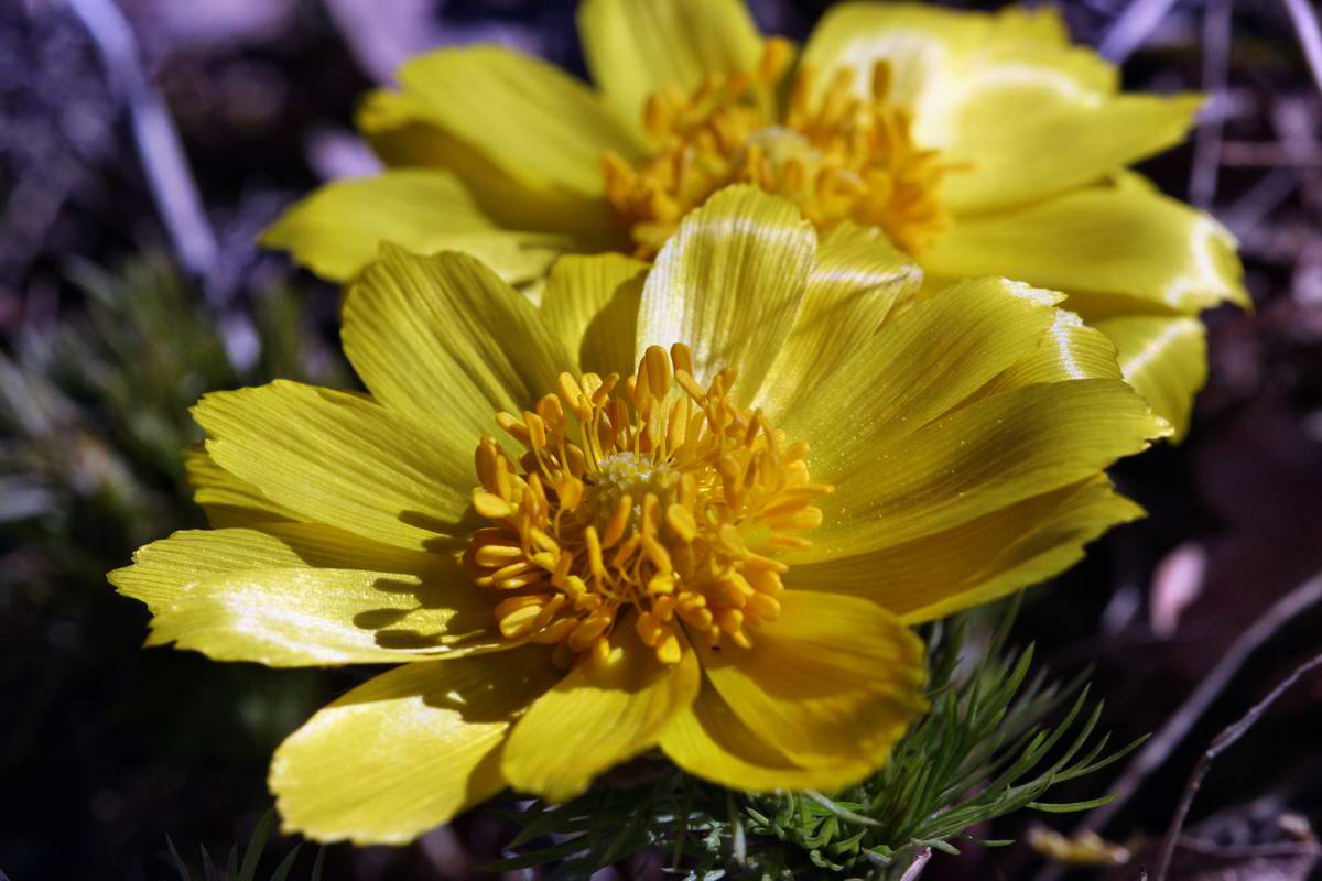 IMG_2013_04_15_00007568_phm2_Bildgr��e �ndern