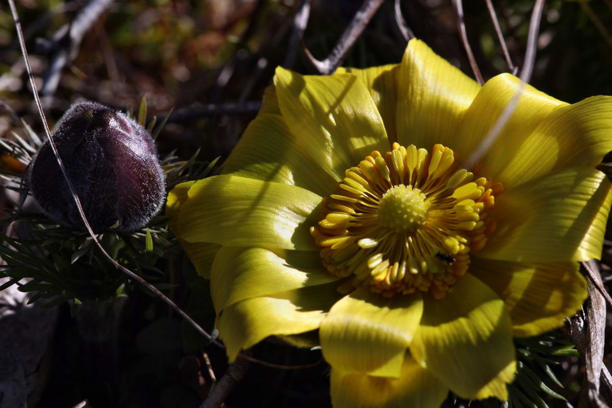 IMG_2013_04_15_00007574_phm2_Bildgr��e �ndern