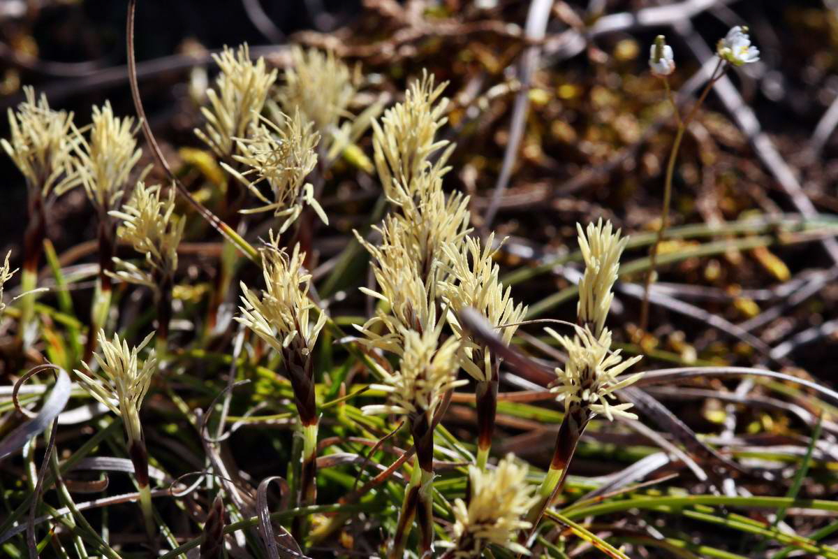 IMG_2013_04_15_00007577_phm2_Bildgr��e �ndern