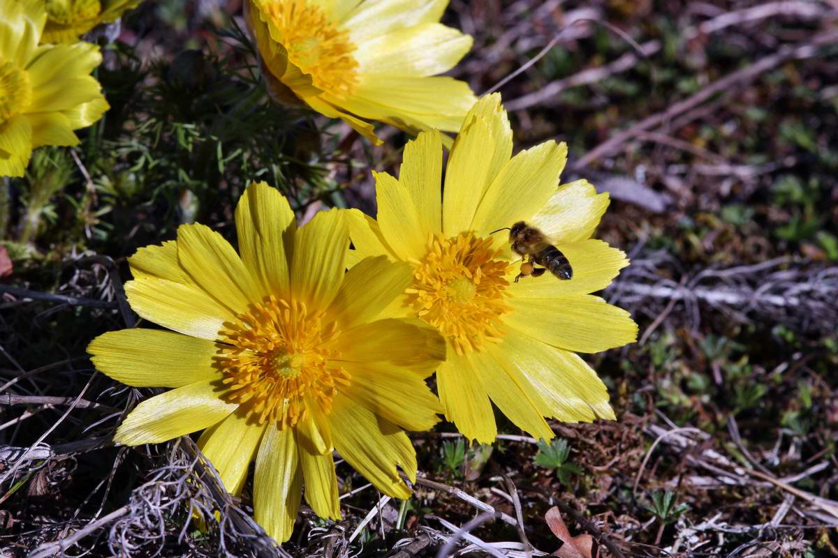 IMG_2013_04_15_00007586_phm2_Bildgr��e �ndern