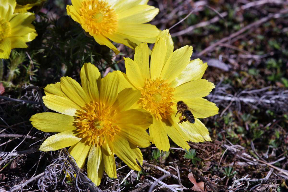 IMG_2013_04_15_00007599_phm2_Bildgr��e �ndern