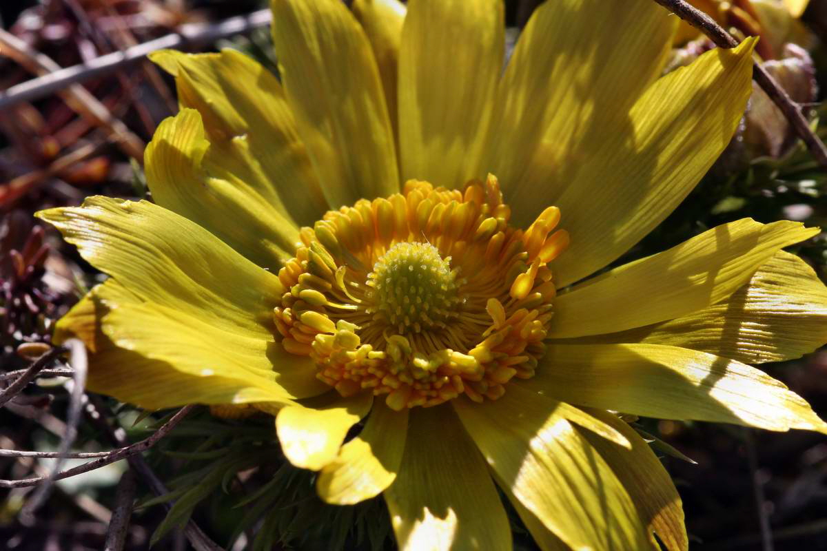 IMG_2013_04_15_00007620_phm2_Bildgr��e �ndern